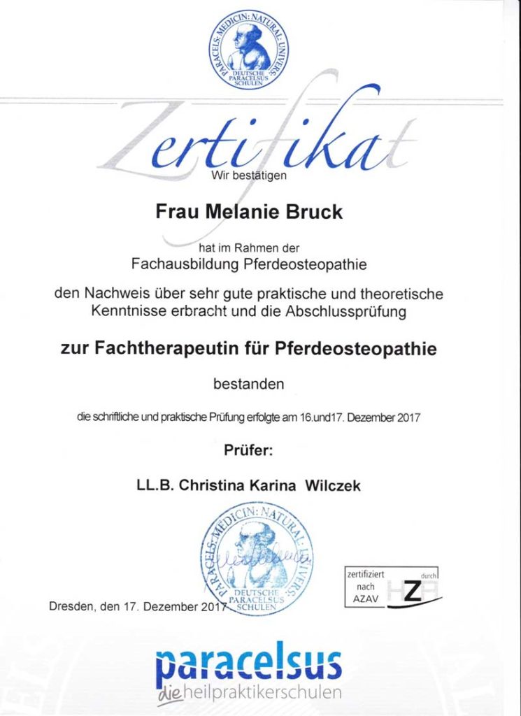 Zertifikat Pferdeosteopathie